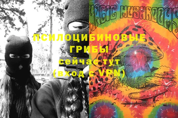 ГАЛЛЮЦИНОГЕННЫЕ ГРИБЫ Балахна