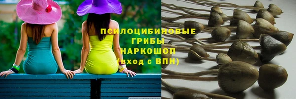 ГАЛЛЮЦИНОГЕННЫЕ ГРИБЫ Балахна
