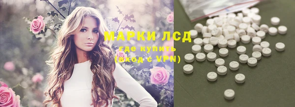 ГАЛЛЮЦИНОГЕННЫЕ ГРИБЫ Балахна