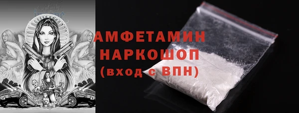 прущие грибы Балабаново