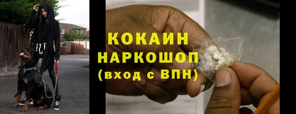 прущие грибы Балабаново