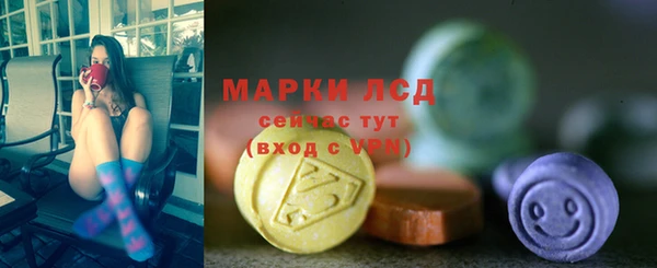 прущие грибы Балабаново