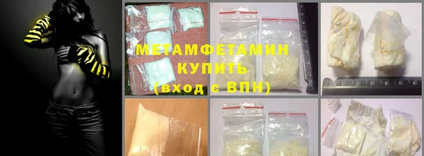 прущие грибы Балабаново
