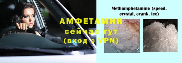 прущие грибы Балабаново