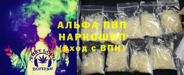 прущие грибы Балабаново