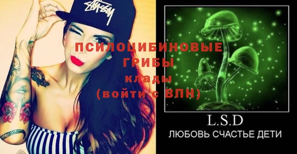 ГАЛЛЮЦИНОГЕННЫЕ ГРИБЫ Балахна