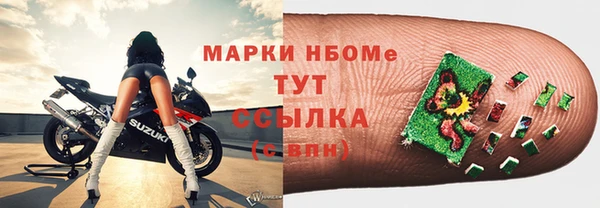 прущие грибы Балабаново