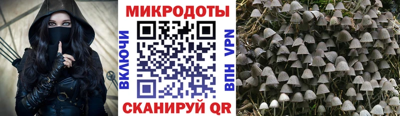 Галлюциногенные грибы прущие грибы  kraken маркетплейс  Кузнецк  наркота 